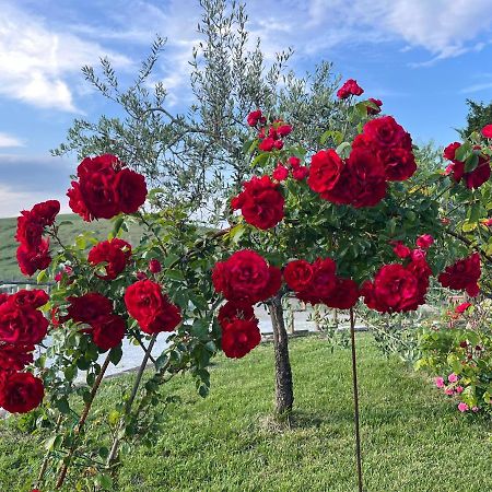 Masso Alle Rose Di Santarsiero Serena Montaione Zewnętrze zdjęcie
