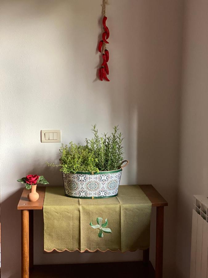 Masso Alle Rose Di Santarsiero Serena Montaione Zewnętrze zdjęcie